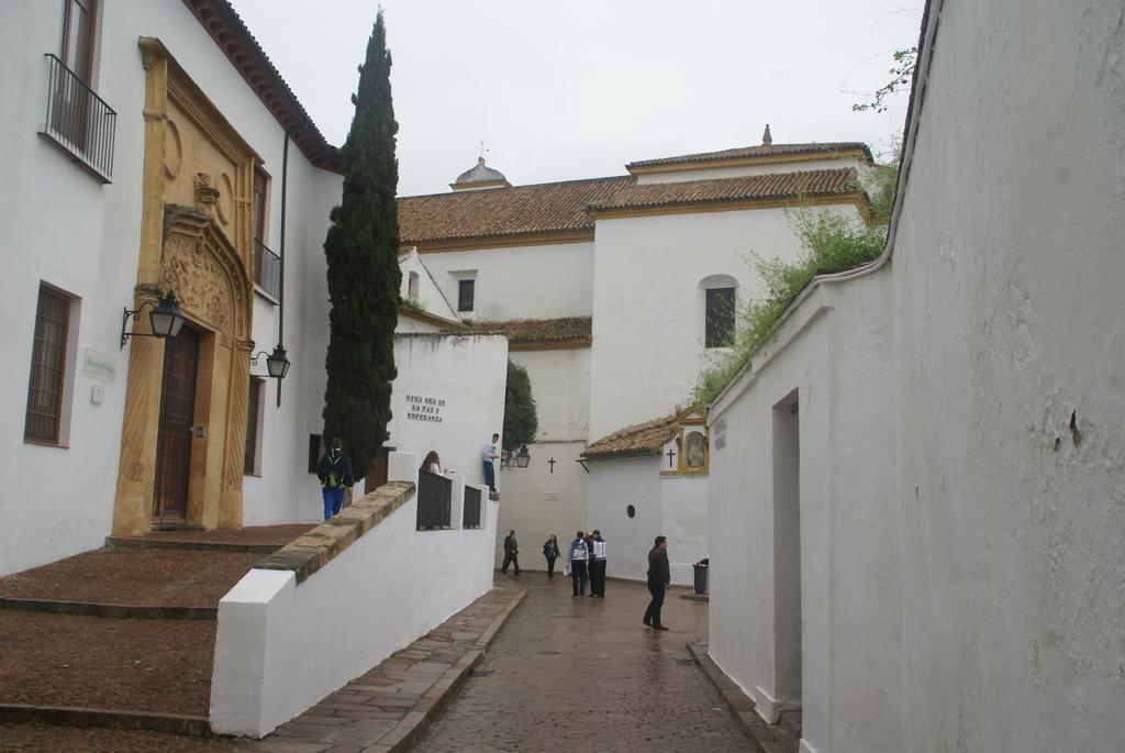 Apartamentos Victoria Bujalance Exterior photo